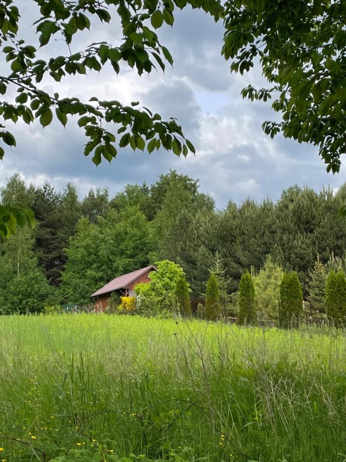 Wittowka - Domek Na Wylacznosc Z Dala Od Sasiadow Tomaszów Lubelski Dış mekan fotoğraf