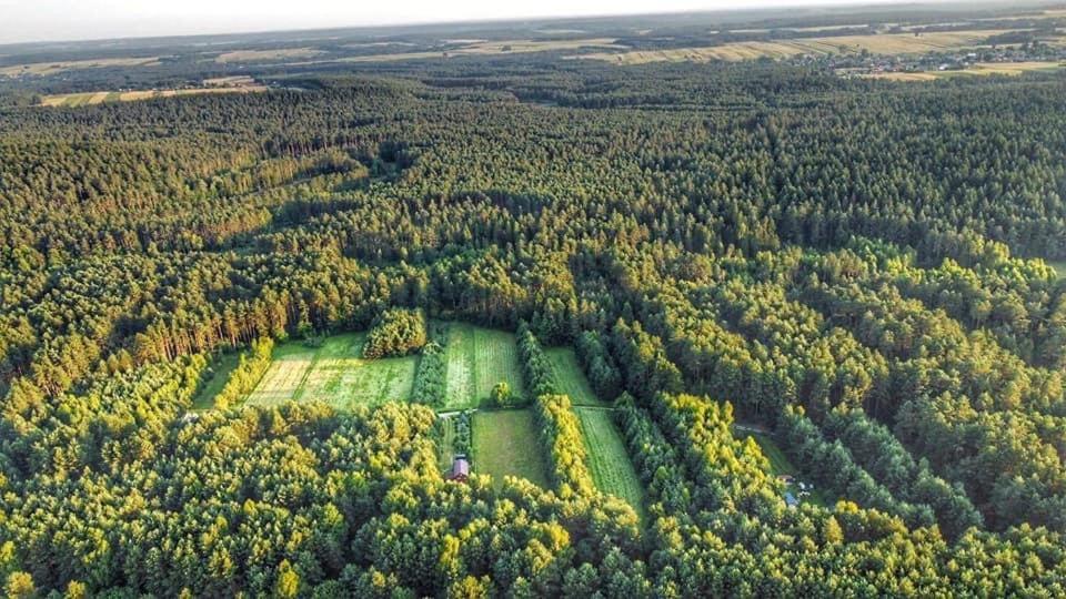 Wittowka - Domek Na Wylacznosc Z Dala Od Sasiadow Tomaszów Lubelski Dış mekan fotoğraf