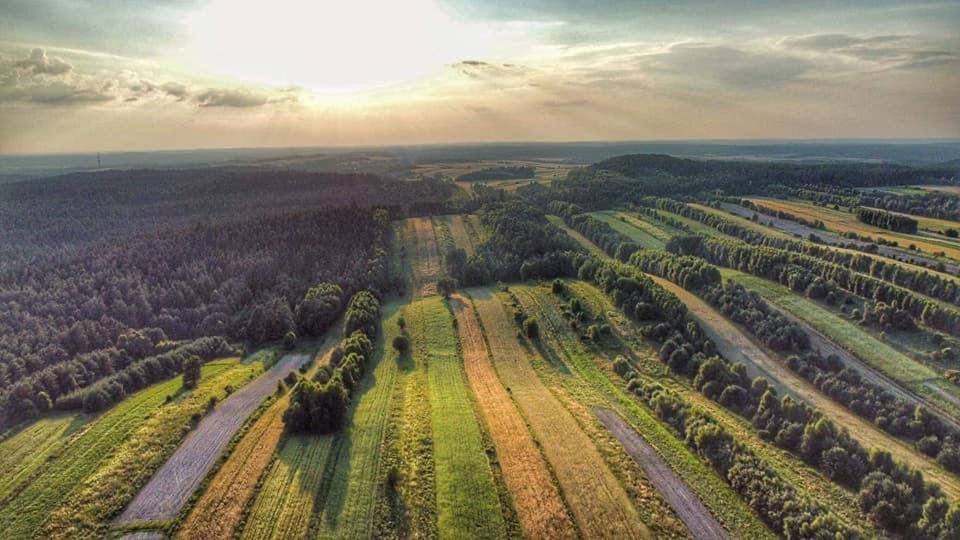 Wittowka - Domek Na Wylacznosc Z Dala Od Sasiadow Tomaszów Lubelski Dış mekan fotoğraf